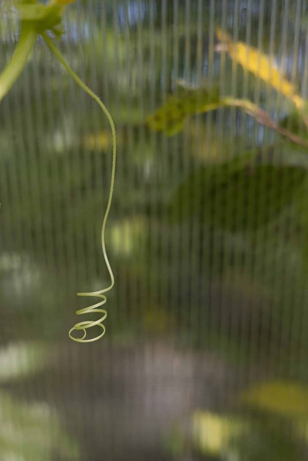 Comment gérer l'évolution des compétences requises chez les architectes logiciel face aux nouvelles technologies?